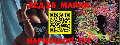 молекула духа Заводоуковск