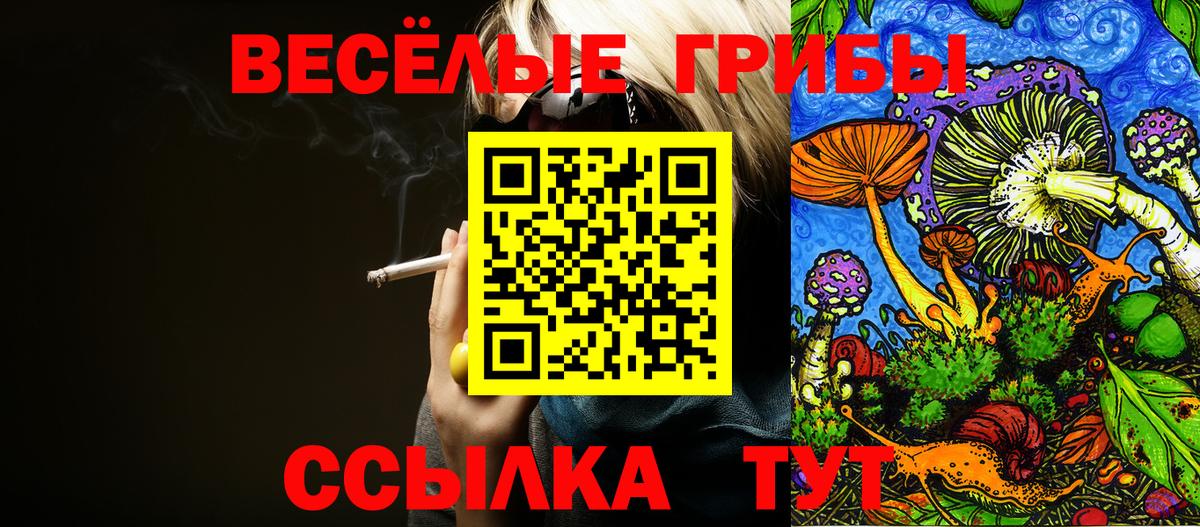 Псилоцибиновые грибы прущие грибы Рассказово