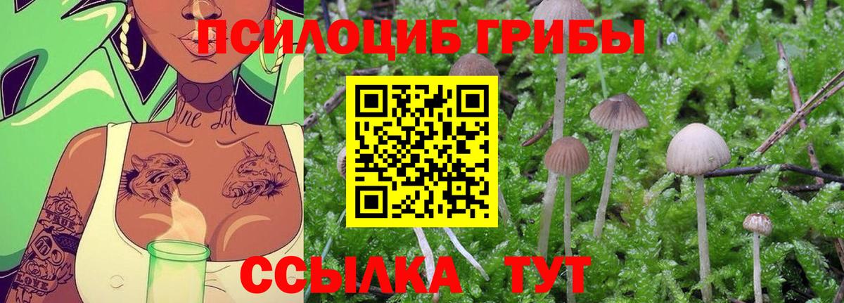 Рассказово  Галлюциногенные грибы Psilocybine cubensis  Галлюциногенные грибы Magic Shrooms  Вход с VPN 